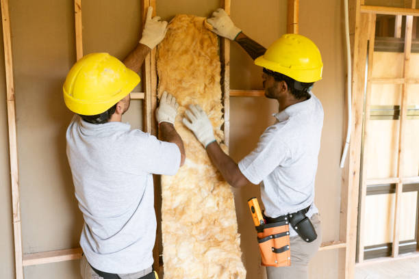 Best Crawl Space Insulation  in Colwyn, PA