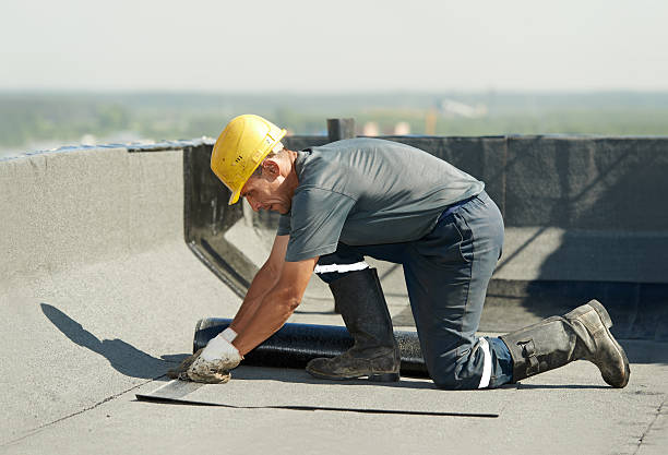 Best Insulation Contractor Near Me  in Colwyn, PA