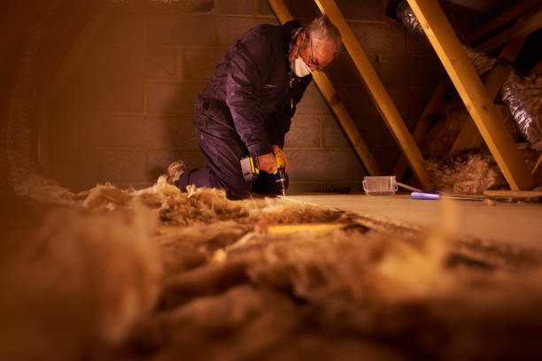 Best Cellulose Insulation  in Colwyn, PA